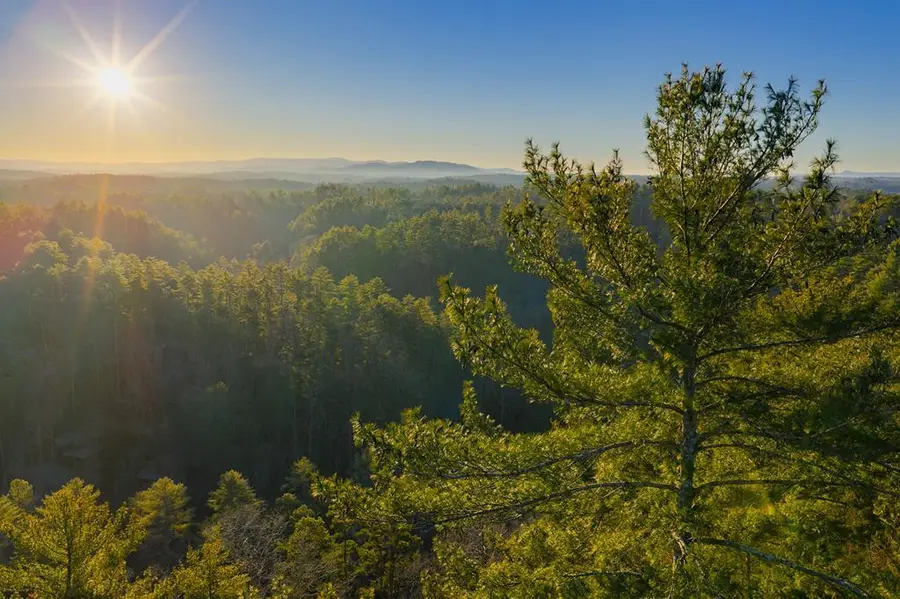 Lot 157 Roaring Forks Lane, Ellijay, GA 30540 - #2