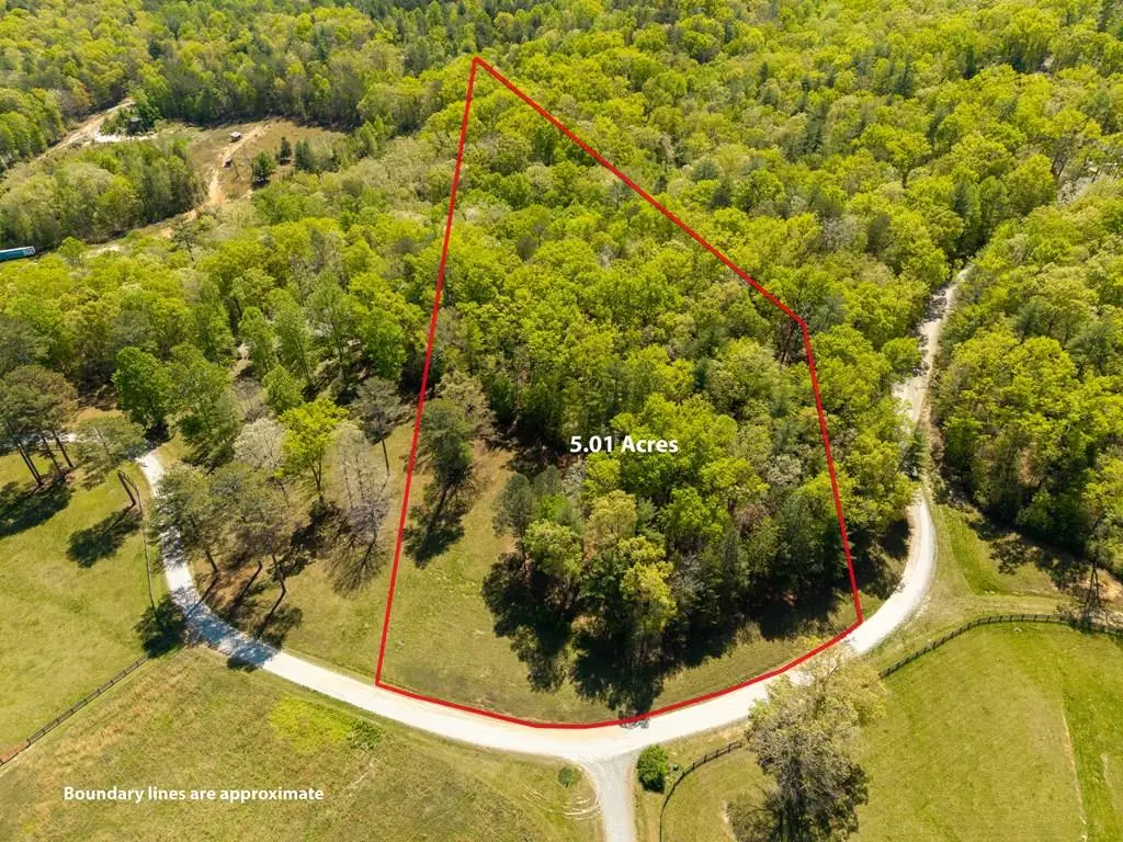 Lot 3 Spring Camp Road, Ellijay, GA 30536 - #1