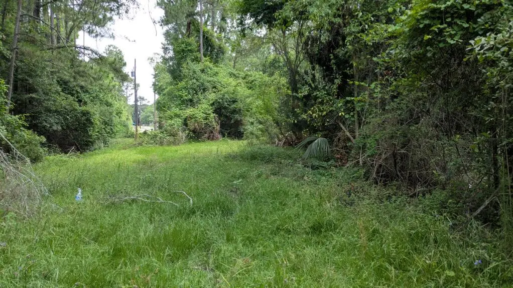 703 Parrish Avenue, Sparta, GA 30612 - #1
