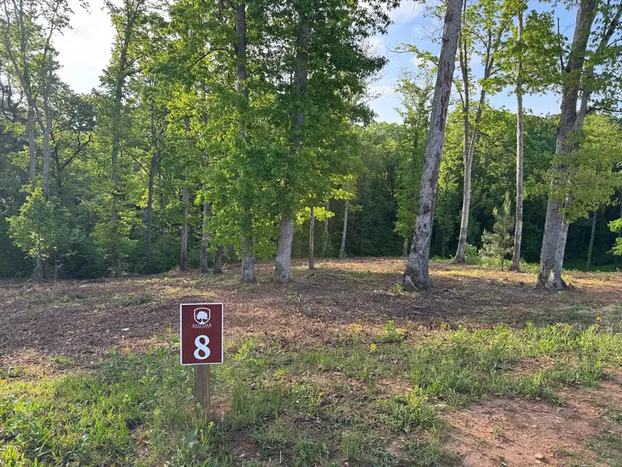 Lot 8 Mystic Drive, Ellijay, GA 30540 - #3