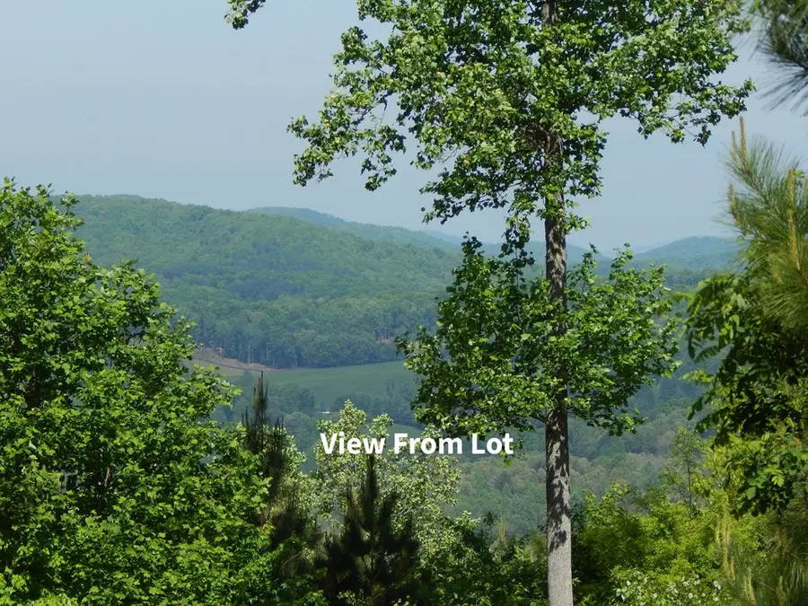 #361 The Cove At Thirteen Hundred, Blairsville, GA 30512 - #3