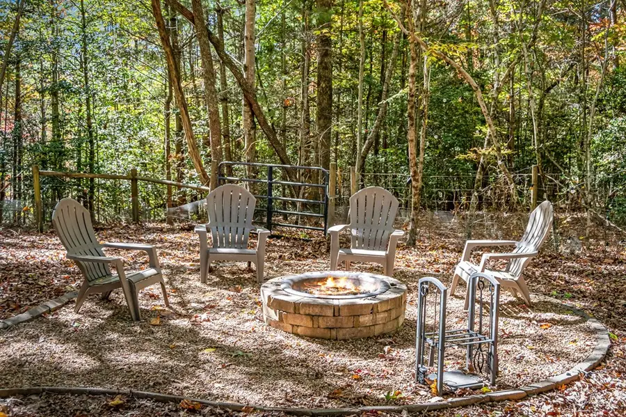 196 Ethan Wilson Way, Morganton, GA 30560 - #3