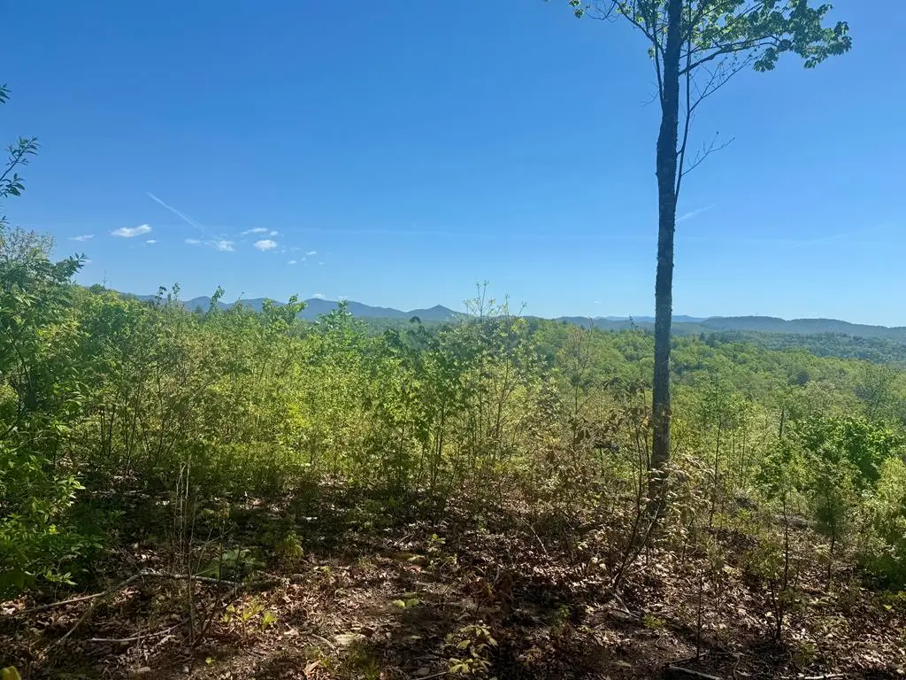 0 Wayah Ridge, Murphy, NC 28906 - #1