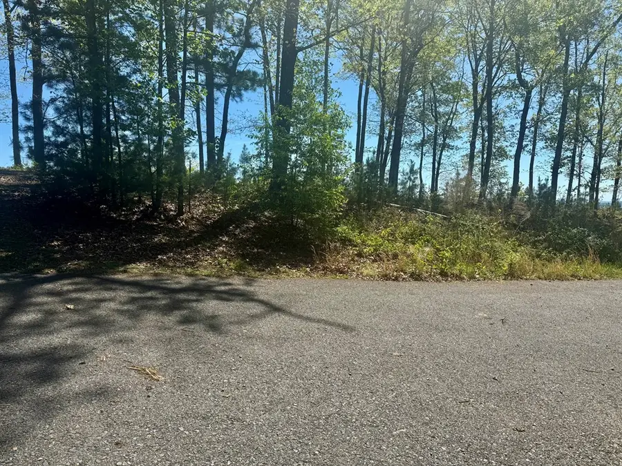 0 Wayah Ridge, Murphy, NC 28906 - #2