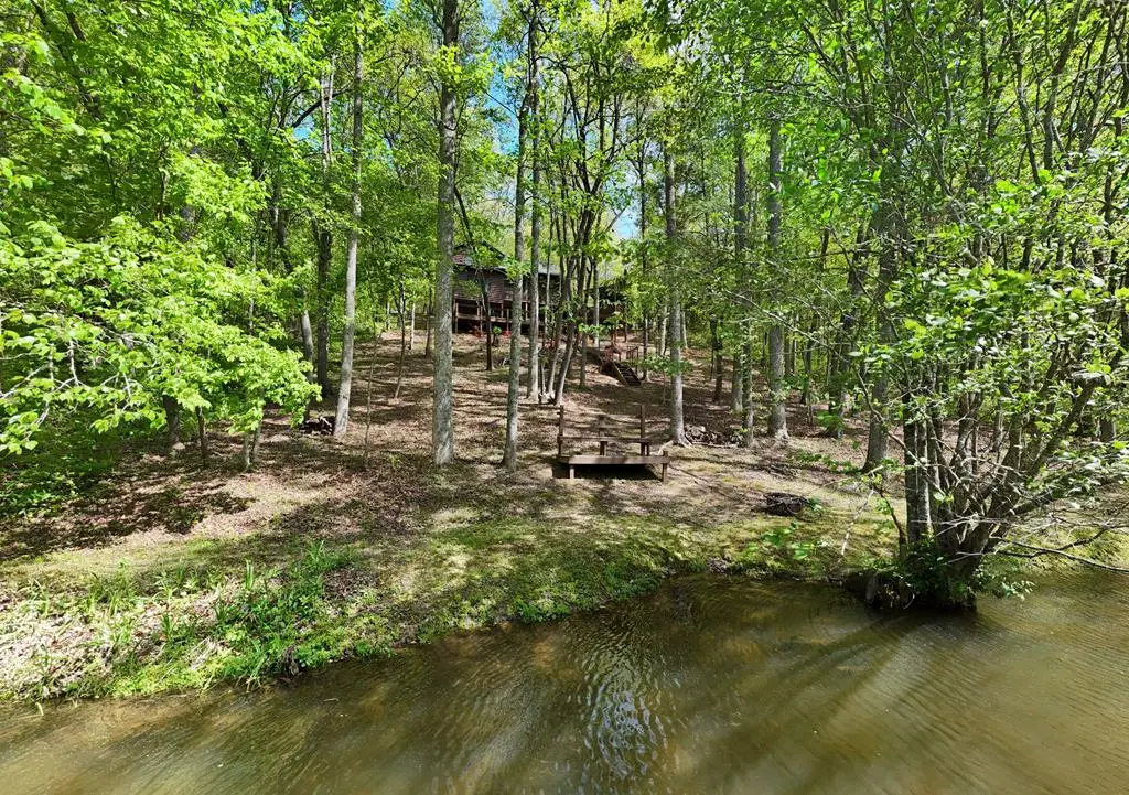 113 Sunrise Court, Blue Ridge, GA 30513 - #1