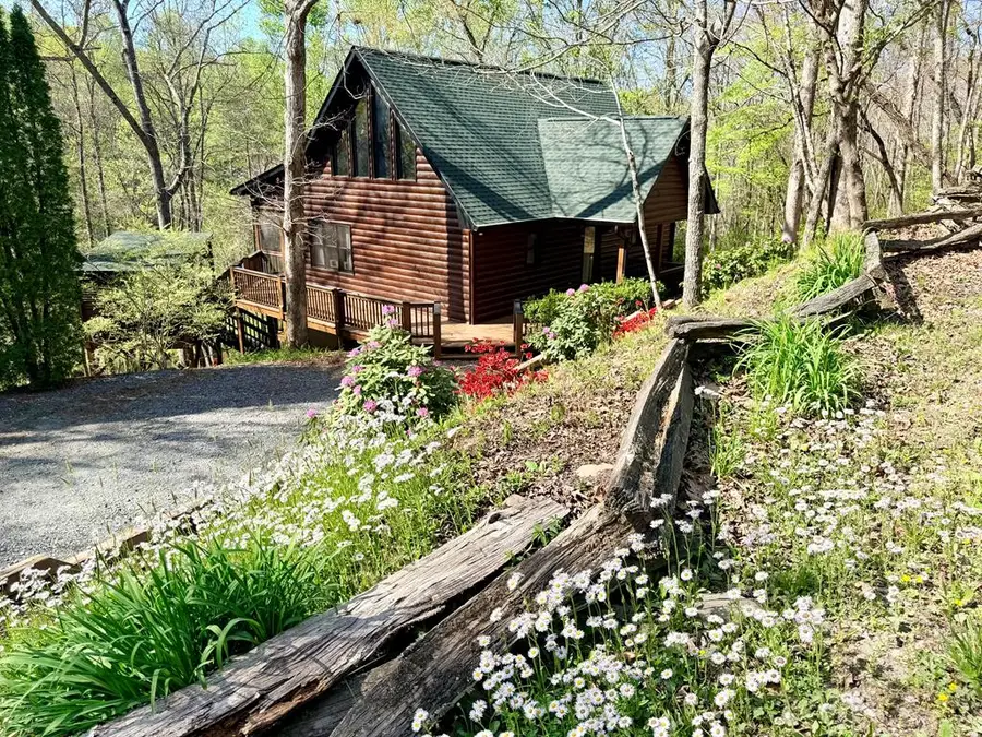 113 Sunrise Court, Blue Ridge, GA 30513 - #2