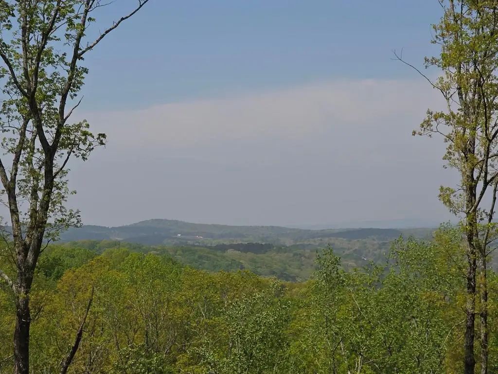 Lot 105 Twisted Oak Road, Talking Rock, GA 30175 - #1