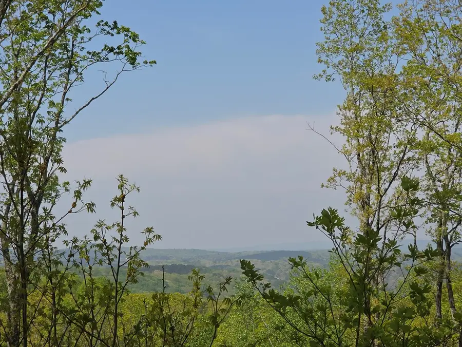 Lot 105 Twisted Oak Road, Talking Rock, GA 30175 - #3