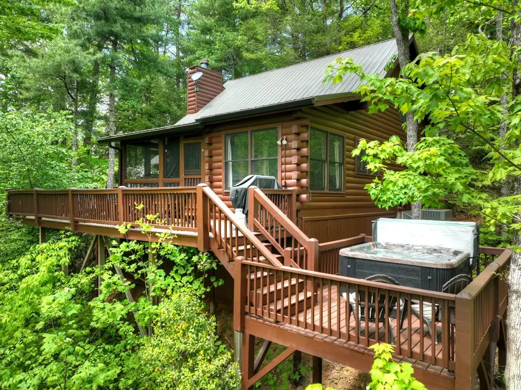 1822 Hidden Lake Drive, Cherry Log, GA 30522 - #1