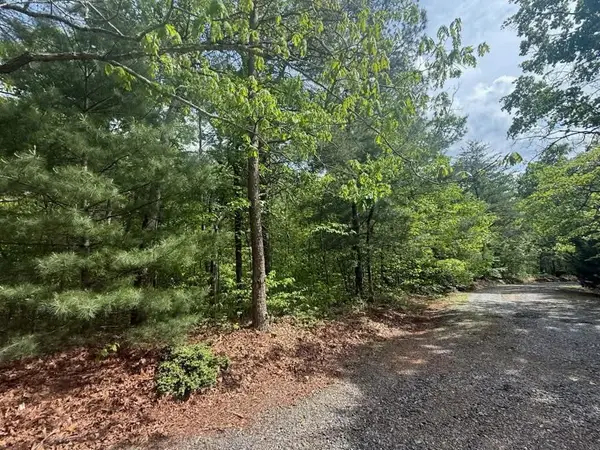 9.47 Ac Sunrise Valley Road, Blue Ridge, GA 30513