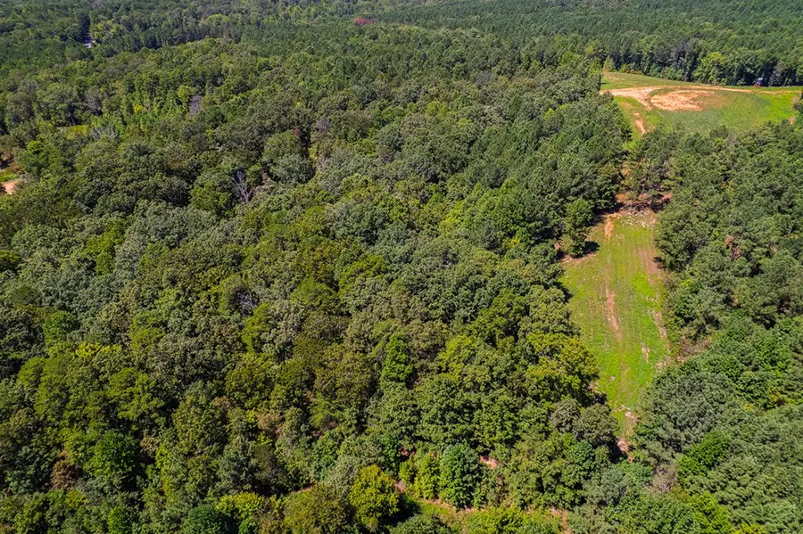 Lot 1 Harris Branch Road E, Ellijay, GA 30540 - #2