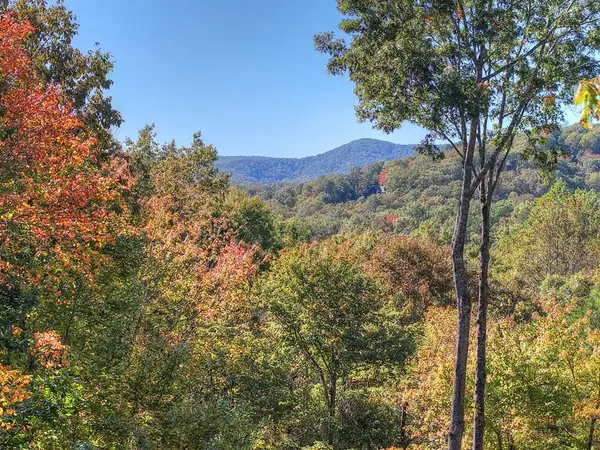 240 Lower Prince Mountain Road, Cherry Log, GA 30522