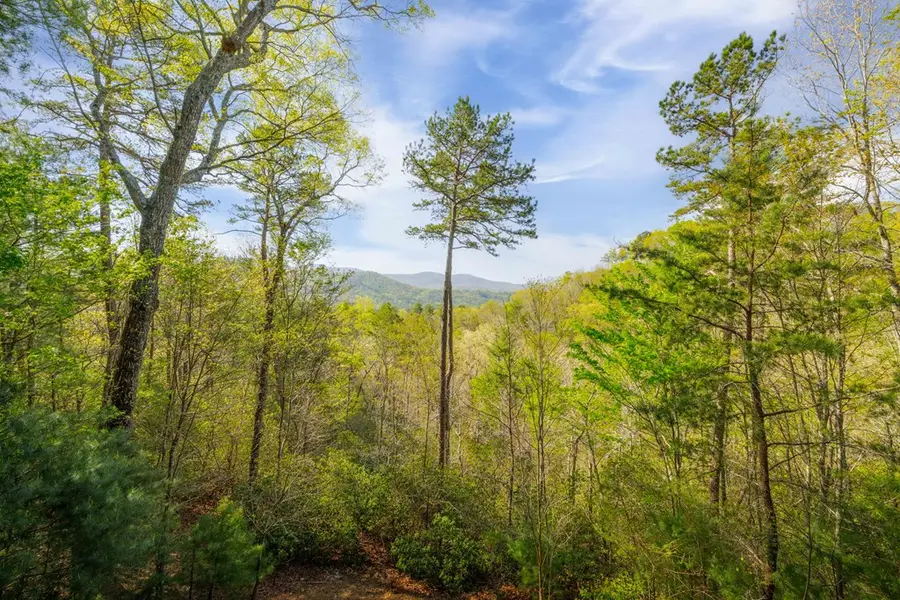 258 Dupont Drive, North Gilmer, GA 30522 - #3