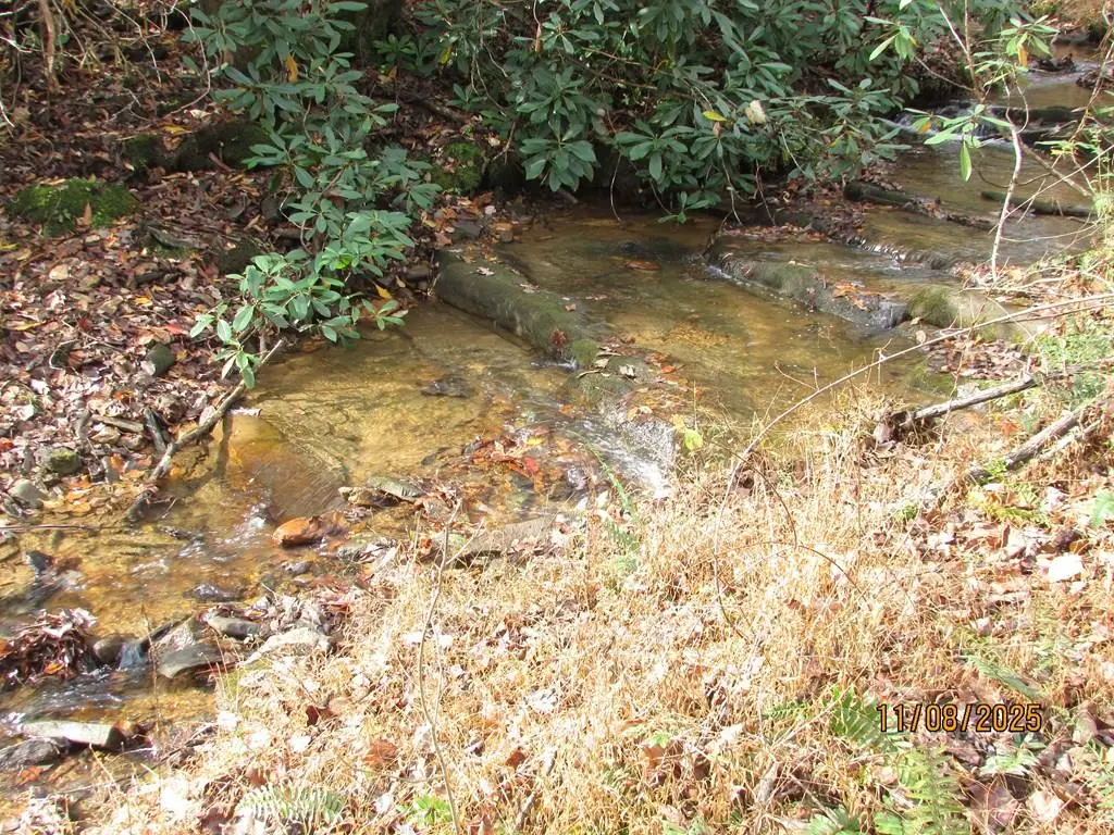 Tract 5 Wikle Road, Hayesville, NC 28904 - #1