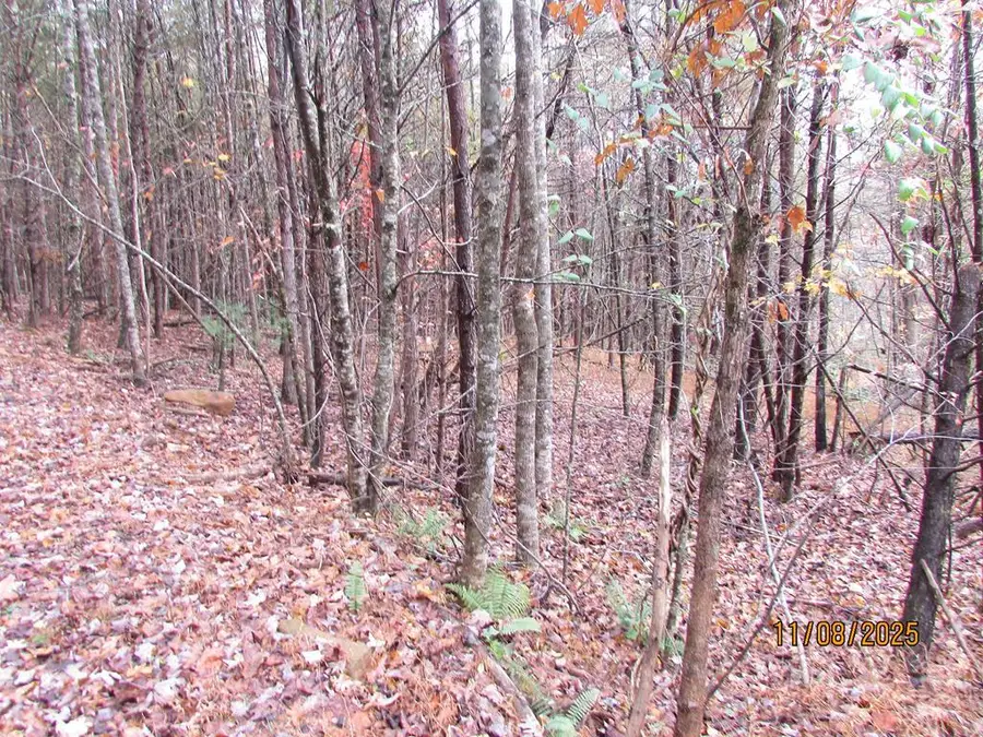 Tract 5 Wikle Road, Hayesville, NC 28904 - #3