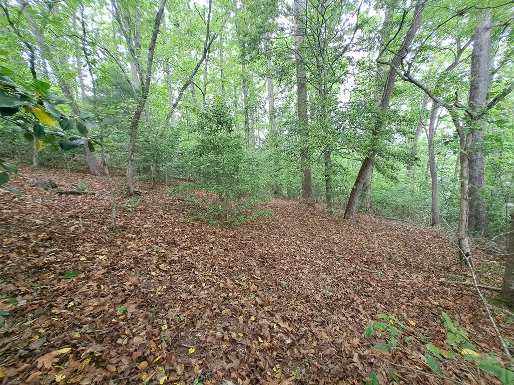 Lot 9 Murray Hill Road, Hayesville, NC 28904 - #1