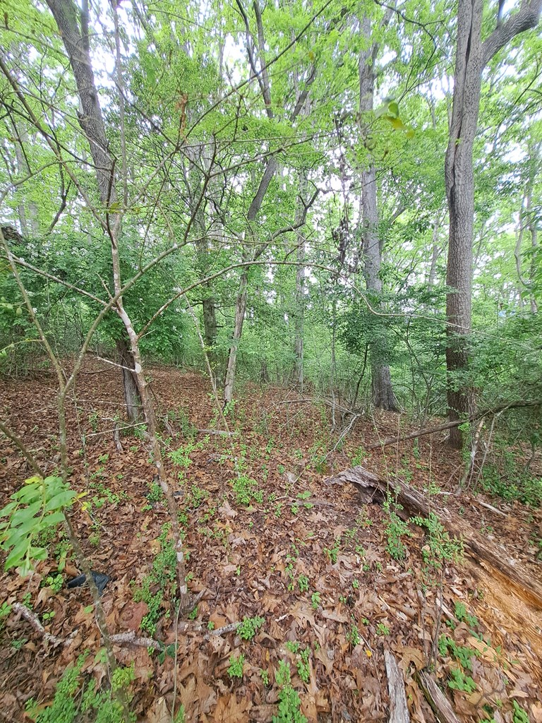 Lot 9 Murray Hill Road, Hayesville, NC 28904 - #2