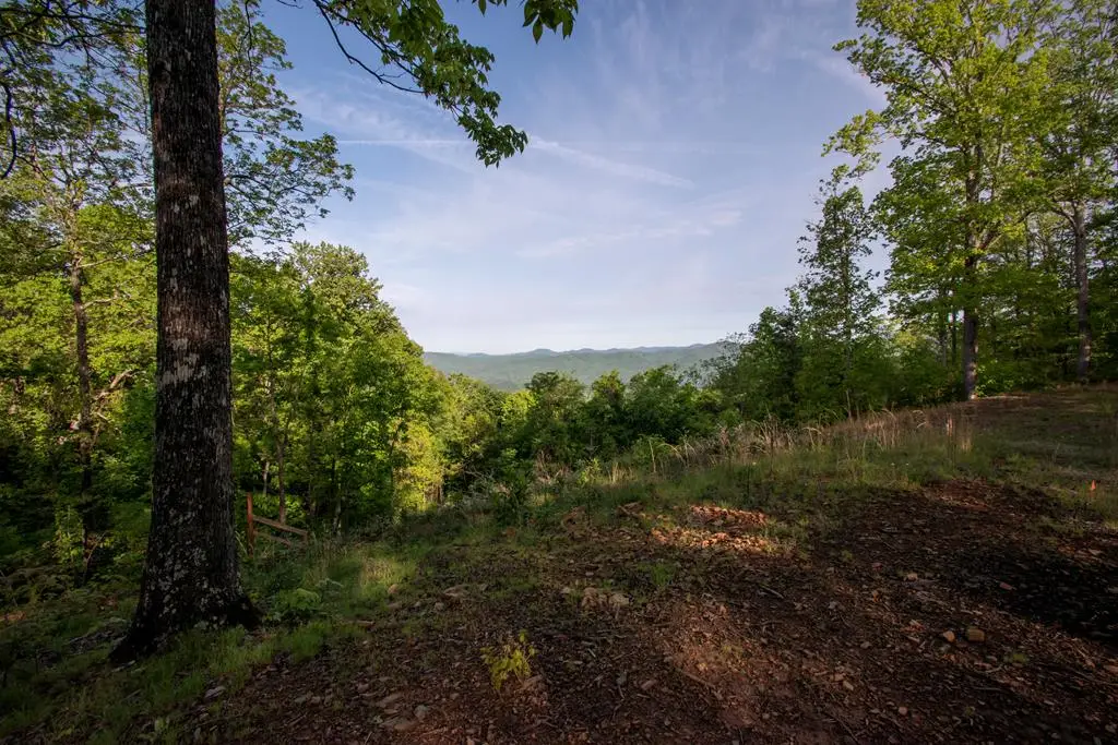 43/44 Timberwood Mountain Estates, Marble, NC 28905 - #1