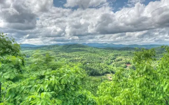 Lot 1 High Country Lane, Morganton, GA 30560 - #1