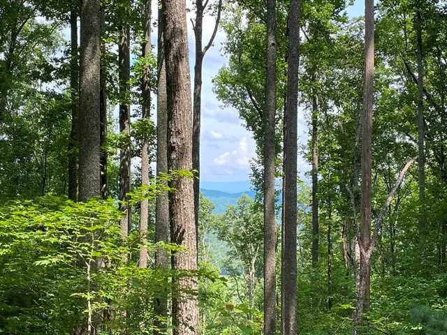 Lot 1 High Country Lane, Morganton, GA 30560 - #2