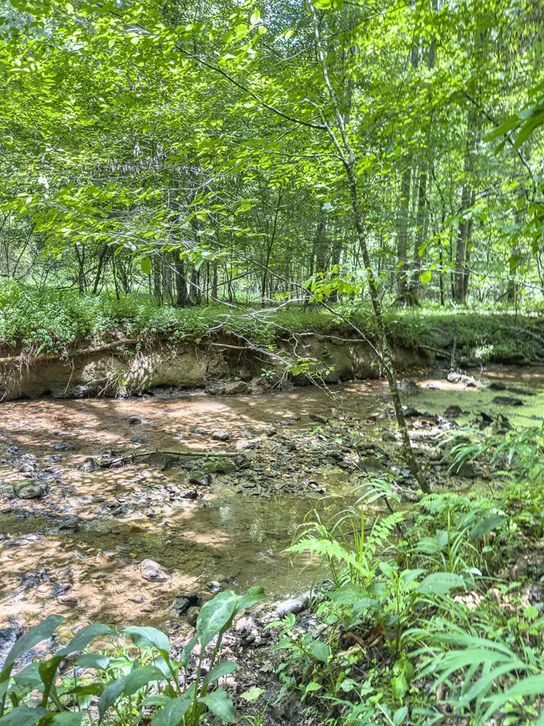 89 Box Turtle Lane, Murphy, NC 28906 - #3