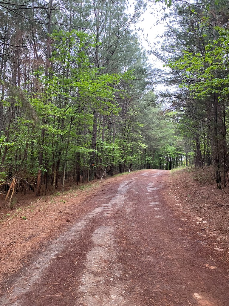 0 Mull Drive, Mineral Bluff, GA 30559 - #2