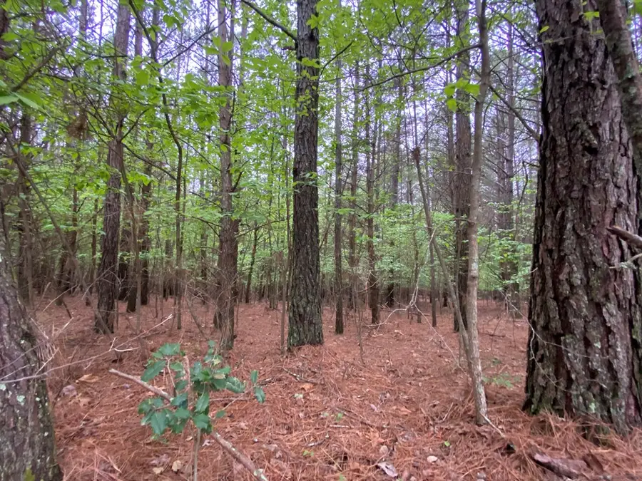 0 Mull Drive, Mineral Bluff, GA 30559 - #3