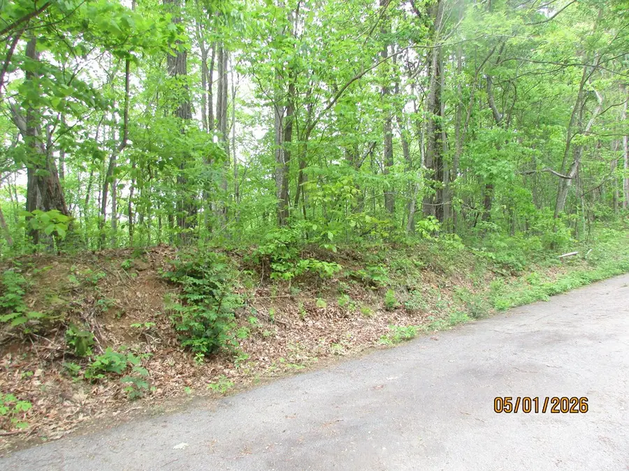 0 Taylor Knob Drive, Hayesville, NC 28904 - #3