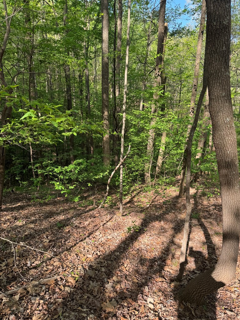 0 Mountain View Court, Ellijay, GA 30536 - #3