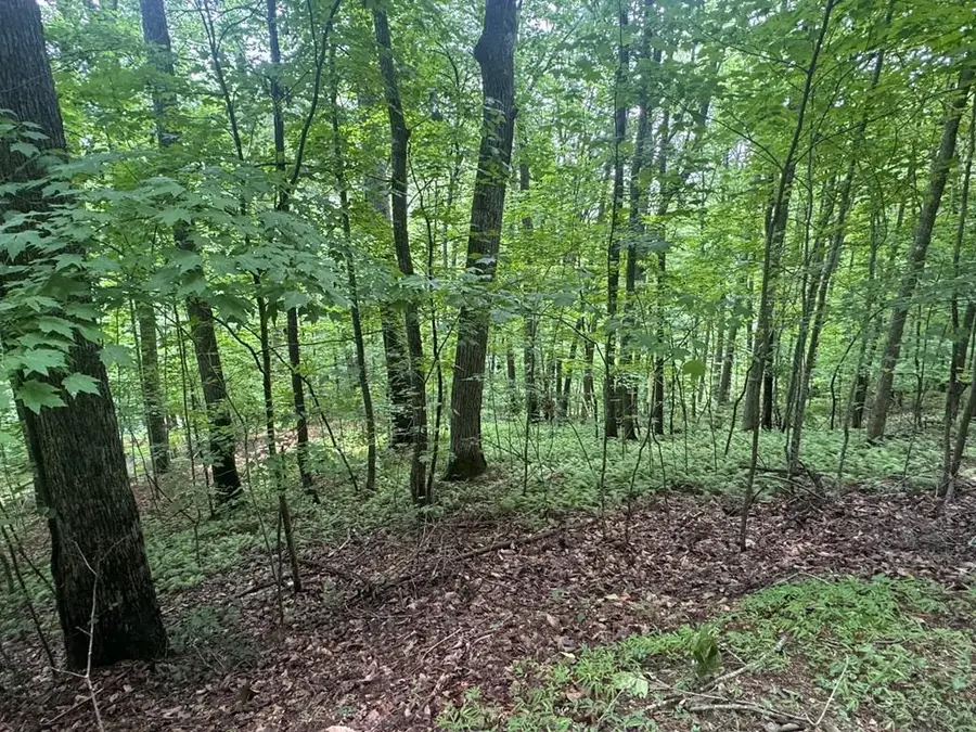 Lot 31 Highland Forge Lane, Blairsville, GA 30512 - #2
