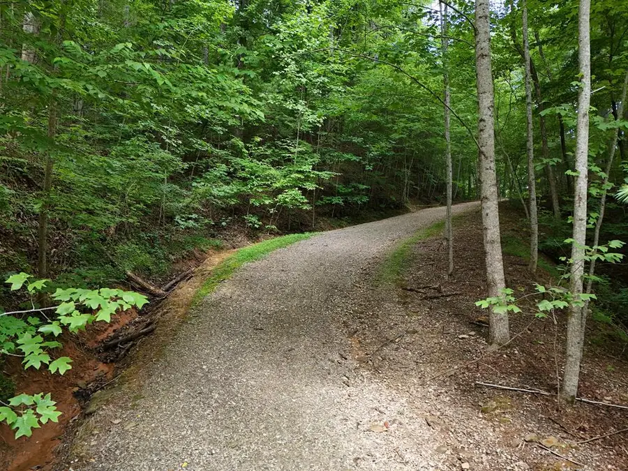 Lot 31 Highland Forge Lane, Blairsville, GA 30512 - #3