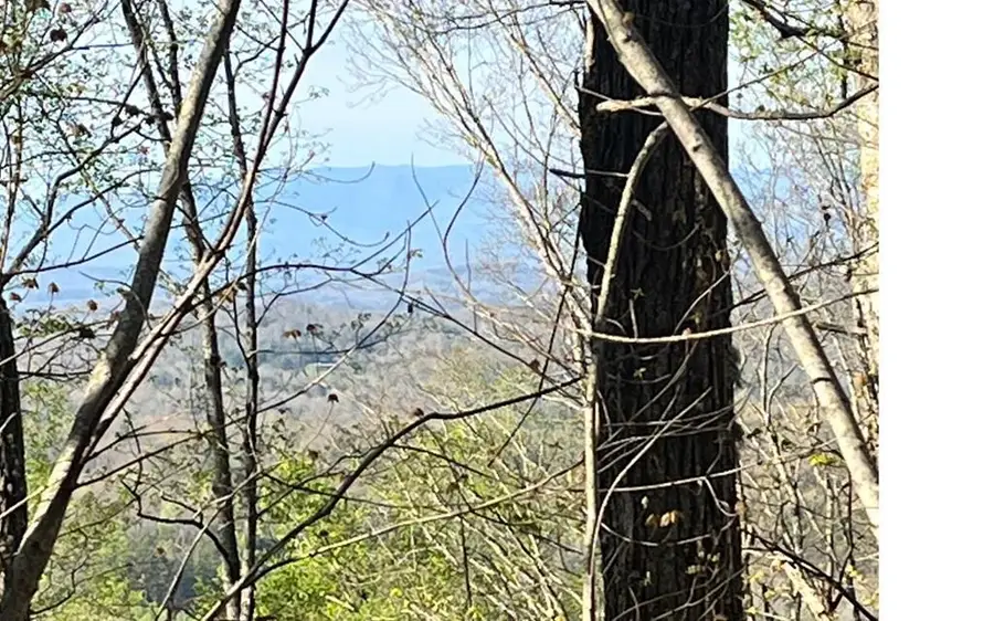 lot 118 Croft Mountain Road, Blairsville, GA 30512 - #3