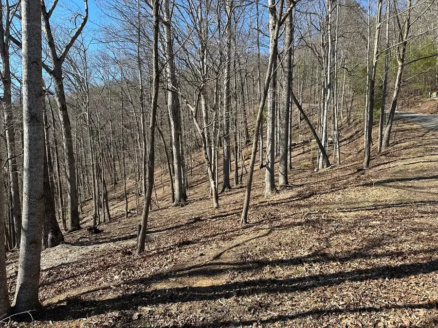 Lot 55 Asheland Cove, Young Harris, GA 30582 - #2