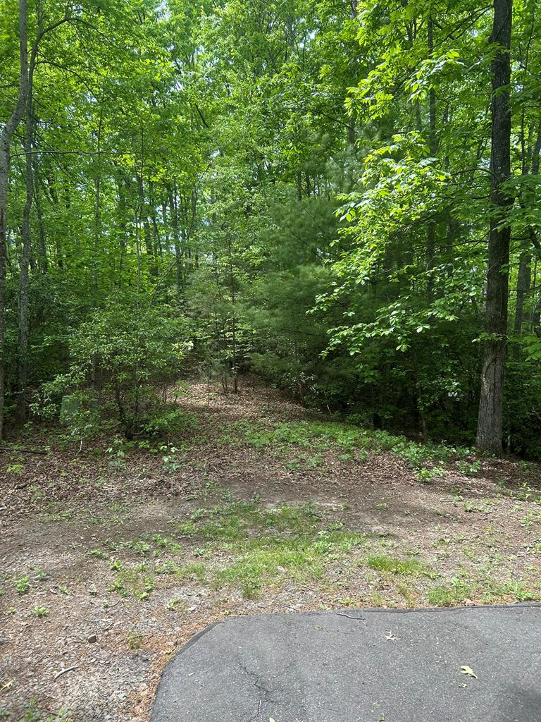 00 Sierra Springs Drive, Murphy, NC 28906 - #1