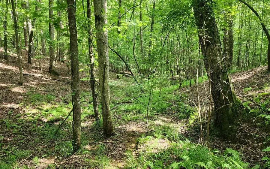 0 Oneida Circle, Ellijay, GA 30540 - #3