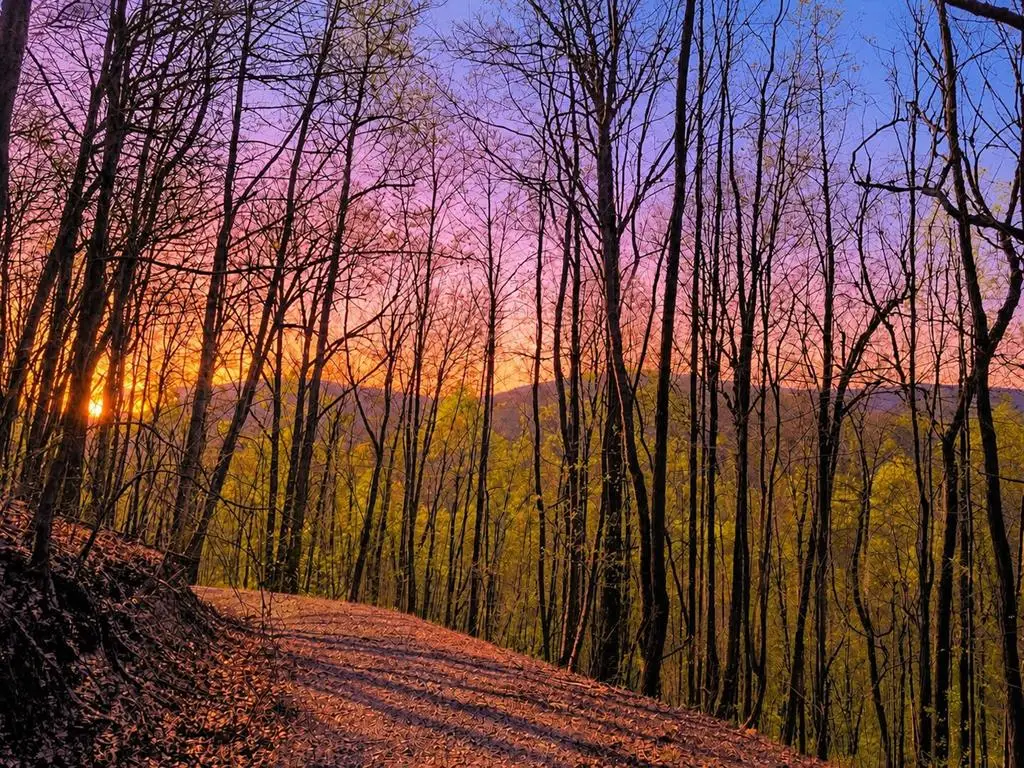 29 AC Hidden Valley Drive, Ellijay, GA 30536 - #1