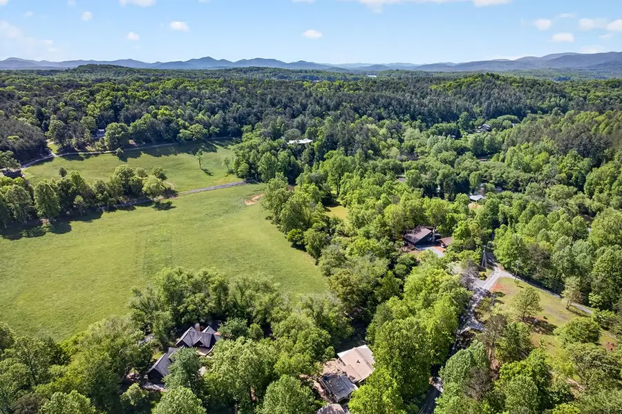 401 Mountain Rivers Road, Mineral Bluff, GA 30559 - #2