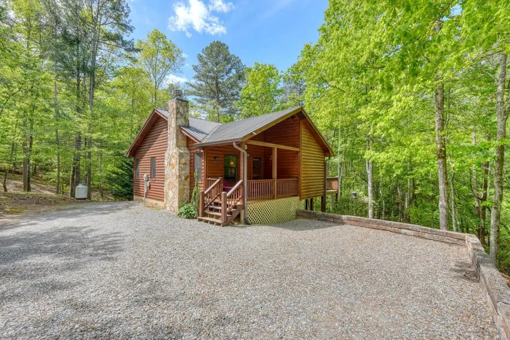 215 The Woods Road, Mineral Bluff, GA 30559 - #1