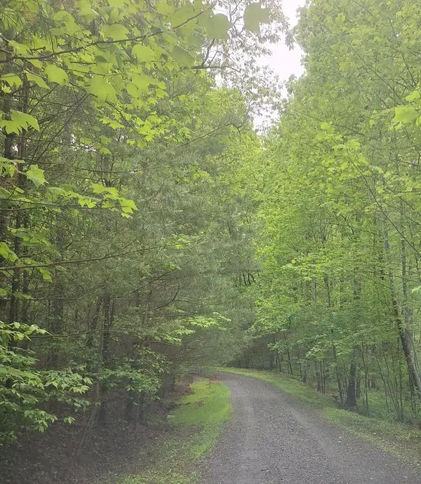 Lot 14 Noontootla Ridge Court, Blue Ridge, GA 30513