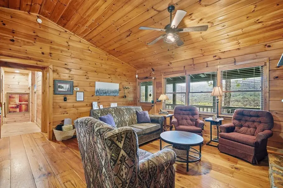 399 Laurel Mountain Road, Blue Ridge, GA 30513 - #3
