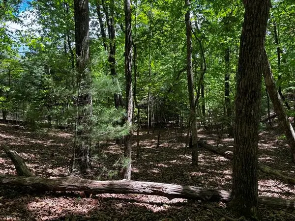 Lot 43 Edgewood Trail, Blairsville, GA 30512