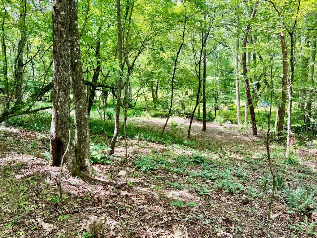 Lot 3 Lower Fox Trail, Blairsville, GA 30512 - #1