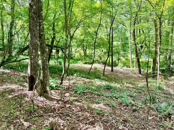 Lot 3 Lower Fox Trail, Blairsville, GA 30512