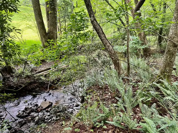 Lot 4 Lower Fox Trail, Blairsville, GA 30512