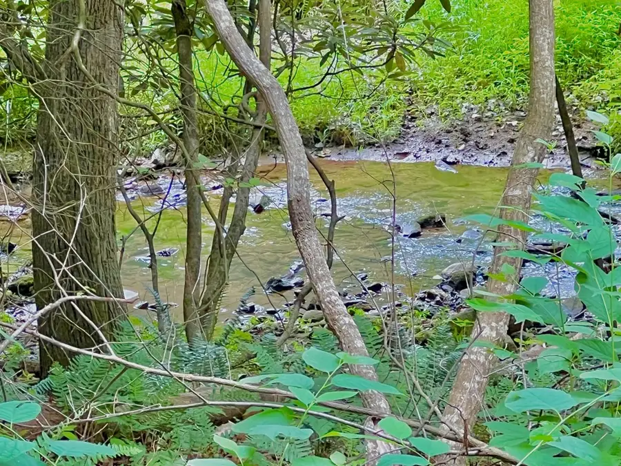Lot 4 Lower Fox Trail, Blairsville, GA 30512 - #3