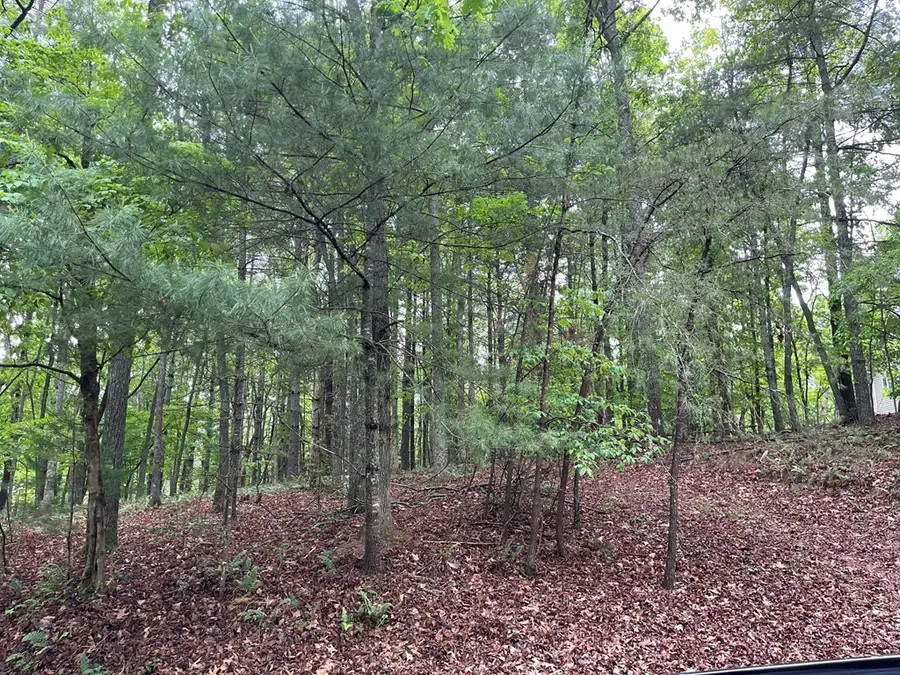 Lot 4 V Addington Road, Blairsville, GA 30312 - #2