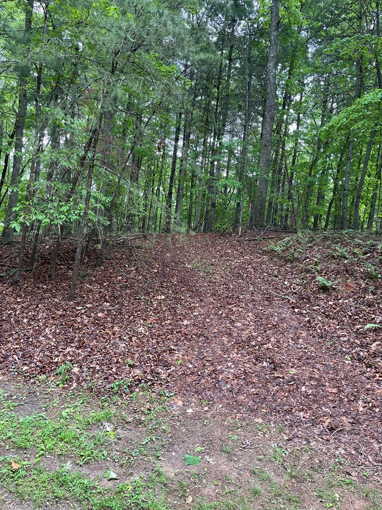 Lot 4 V Addington Road, Blairsville, GA 30312 - #3