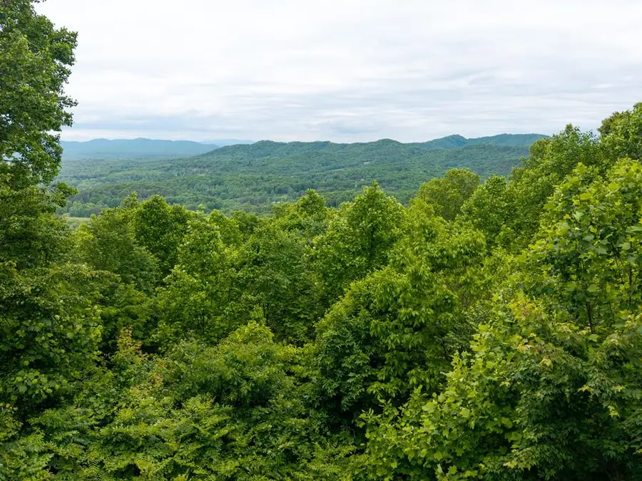 219 Lakeview Dr, Hayesville, NC 28904 - #3
