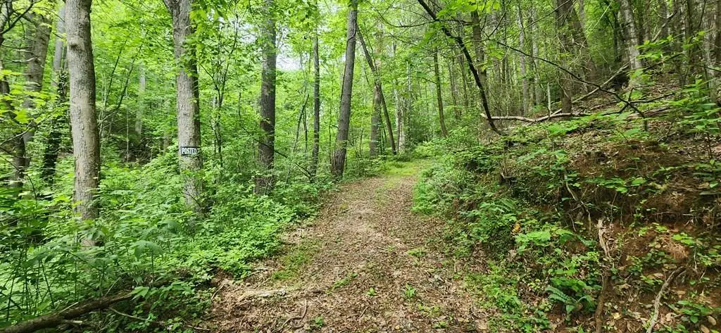 13 Acres Goose Island Road, Ellijay, GA 30540 - #1