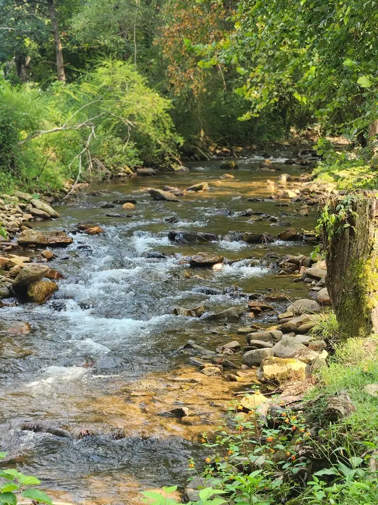 Lot 27 Lazy Bear Trail, Andrews, NC 28901 - #3